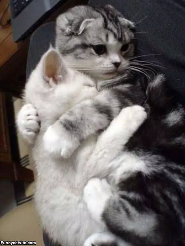 Hug It Out