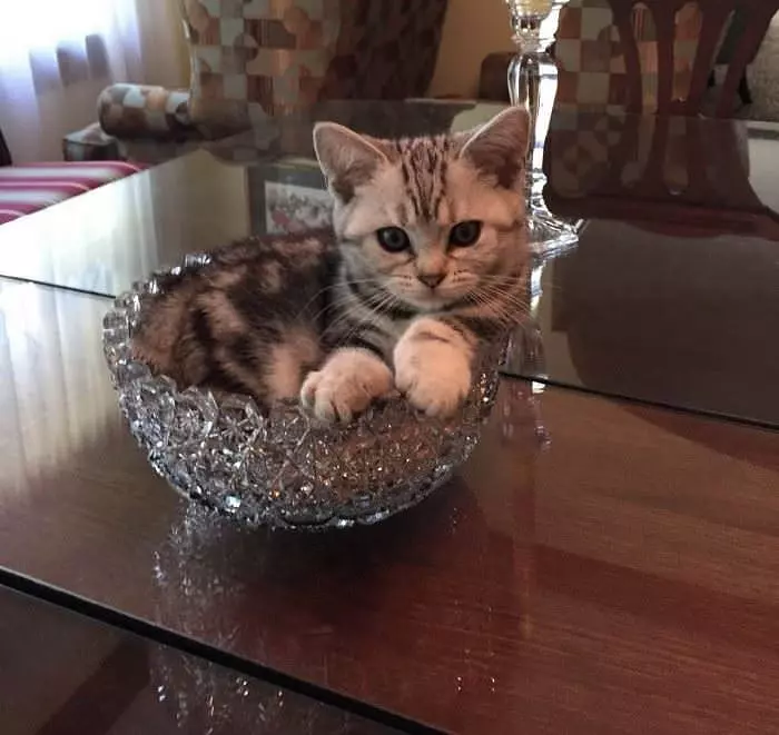 In A Bowl