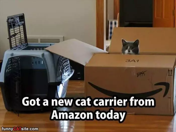 A New Cat Carrier