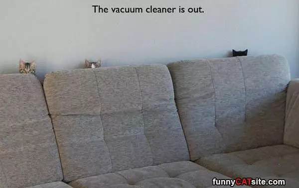 Vacuum Is Out