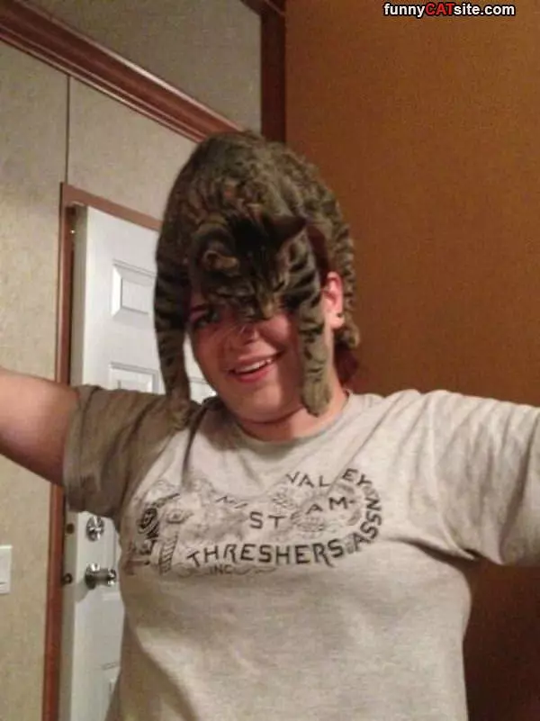 I Have A Cat Hat