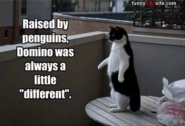 Raised By Penguins