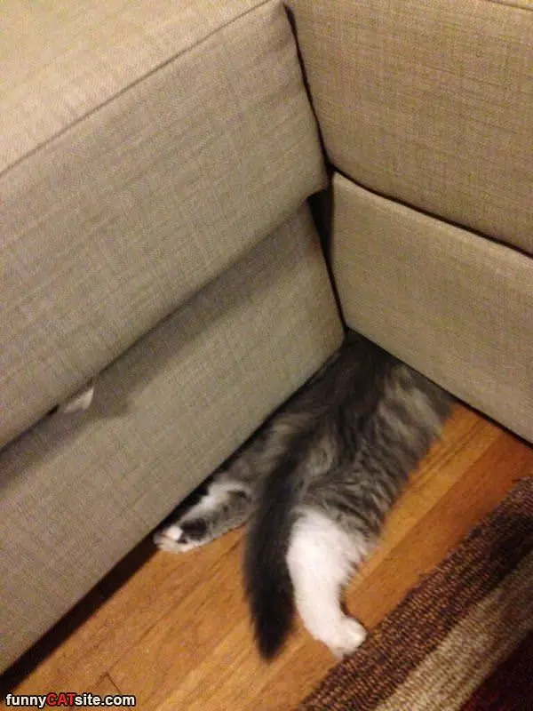 Hiding Under The Couch