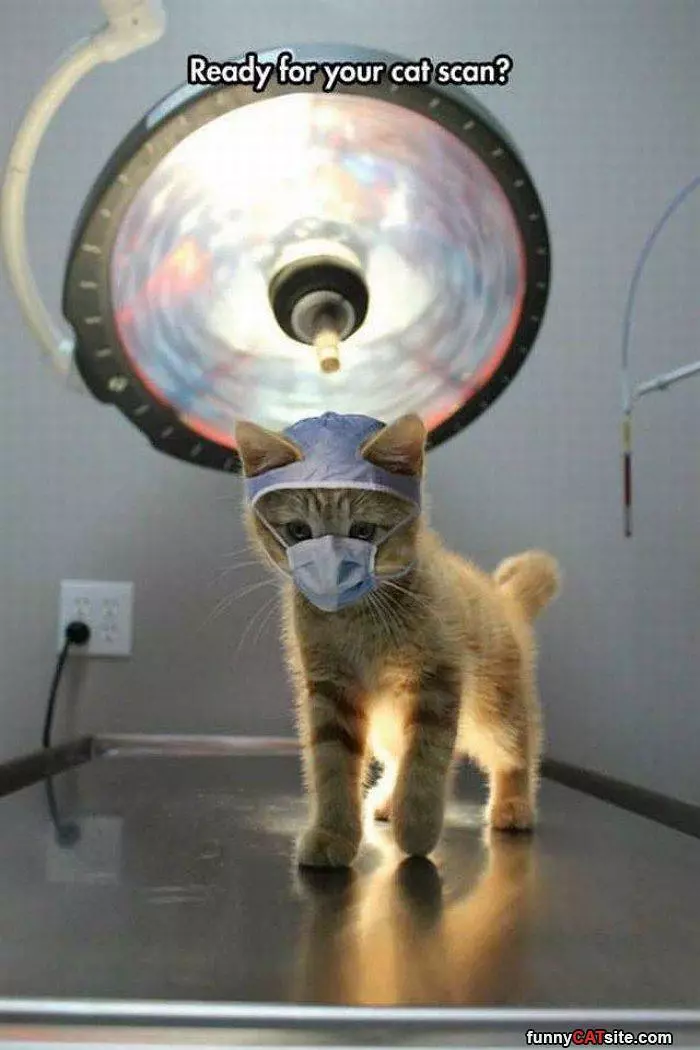 Ready For Your Cat Scan
