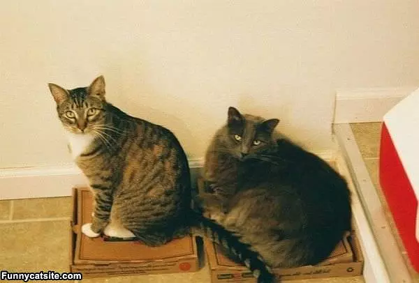 We Each Have Our Own Boxes