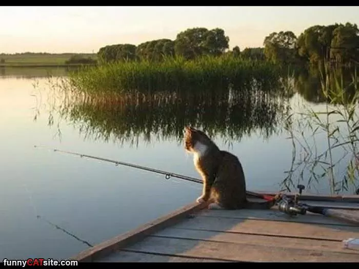 Doing Some Fishing