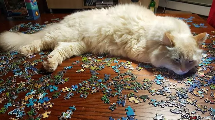 This Puzzle Is Boring