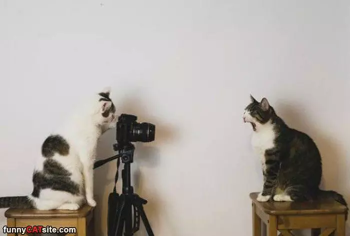 Take The Picture Already