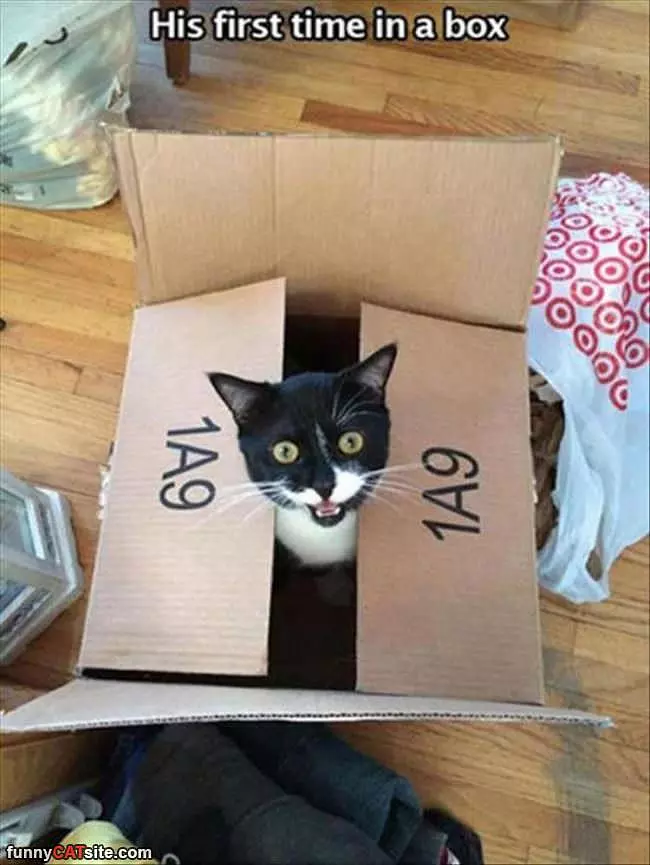 First Time In A Box