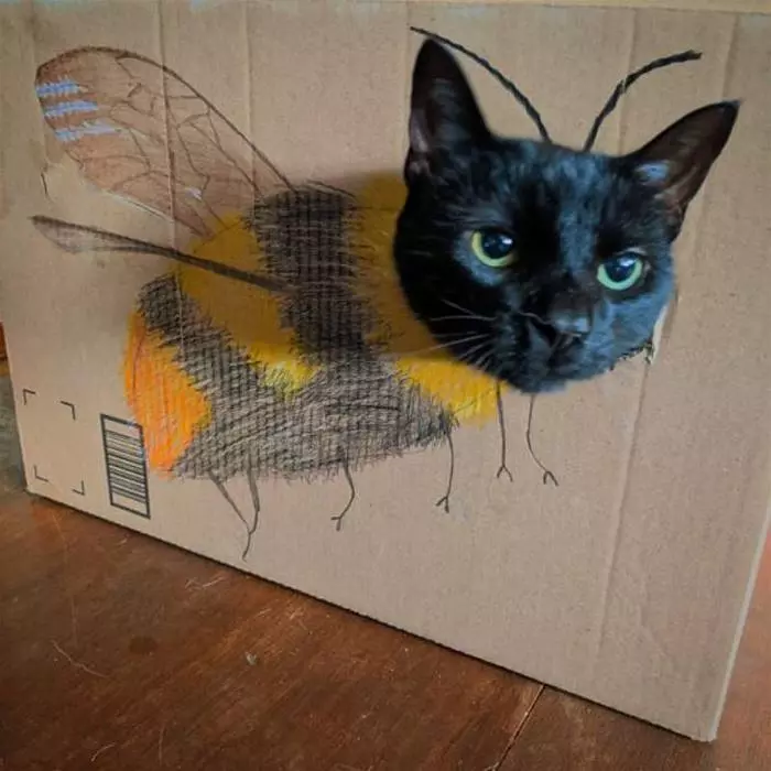 I Am A Bee Now