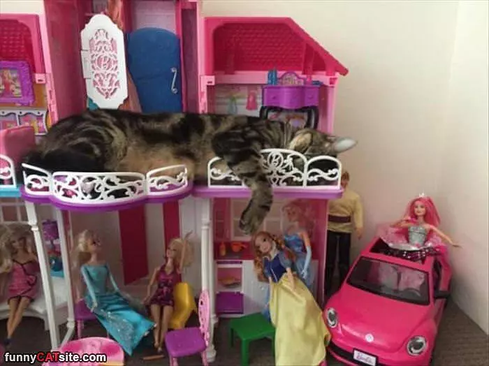 This Doll House Is Great
