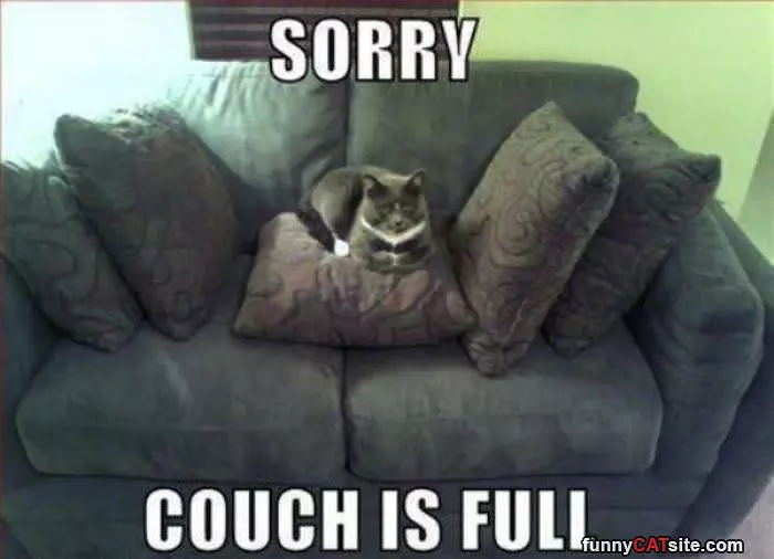 Couch Is Full