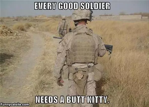 Every Good Soldier