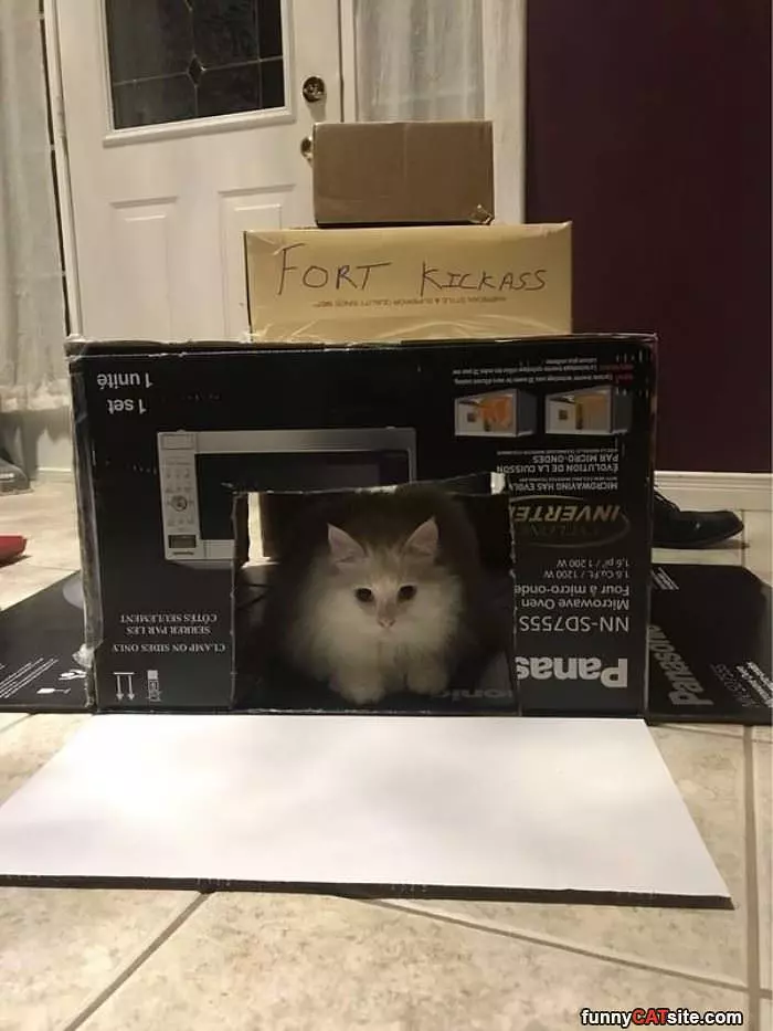 I Has A Fort