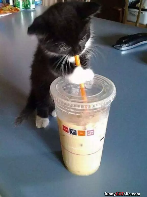 Oh I Want A Sip