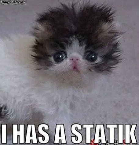 Statik Cat