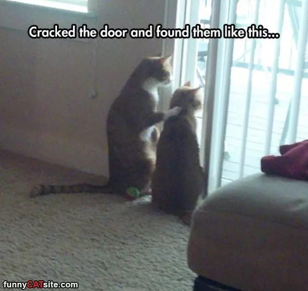 Cracked The Door