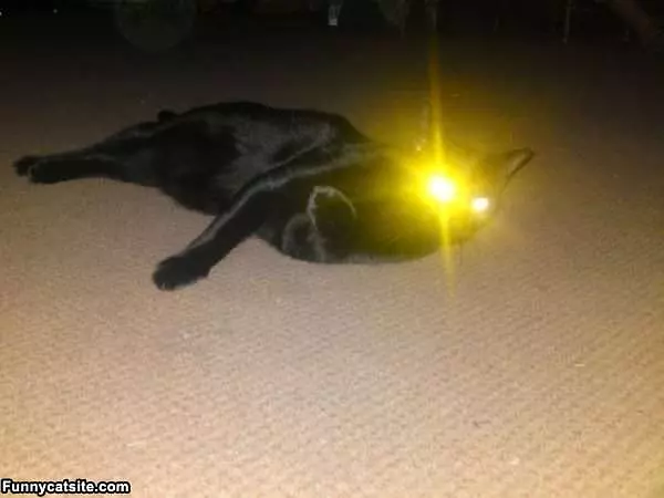 Laser Bright Eyes