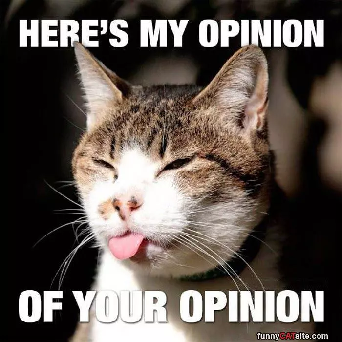 My Opinion Of Your Opinion