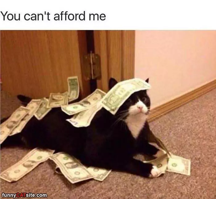 Cant Afford Me