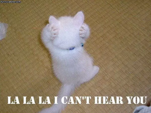 Lala Cant Hear You Cat
