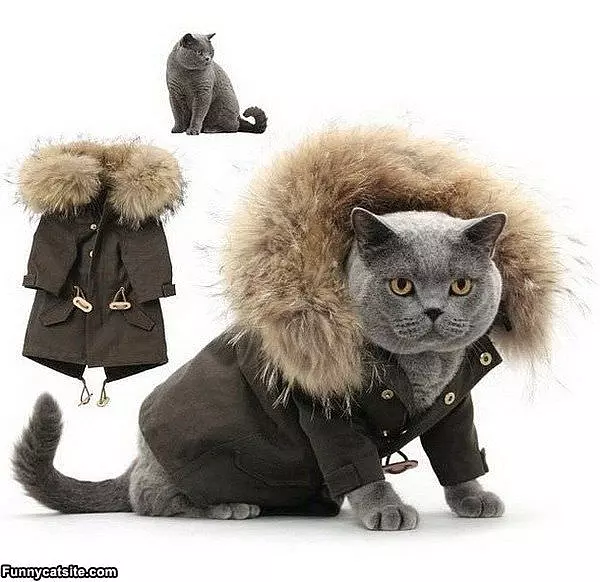 Nice Warm Coat
