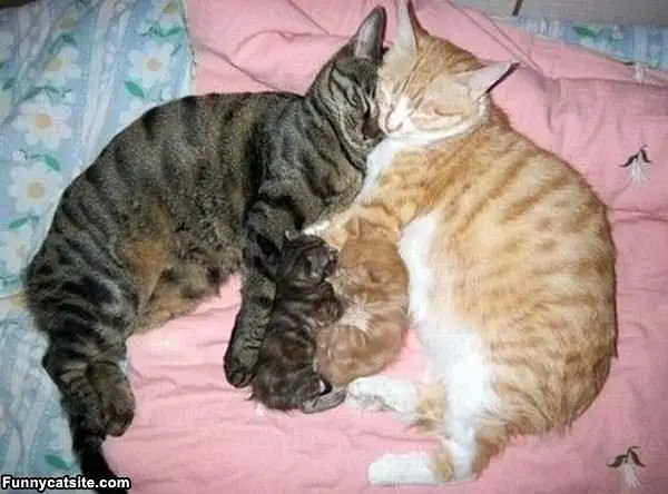 The Whole Family Sleeping