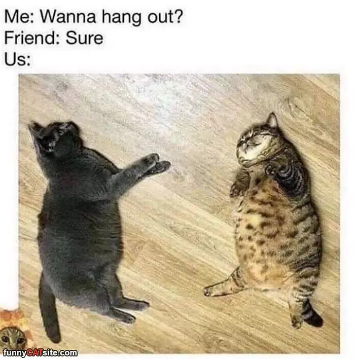 Wanna Hang Out
