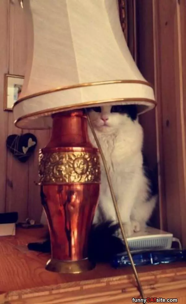 I Am A Lamp