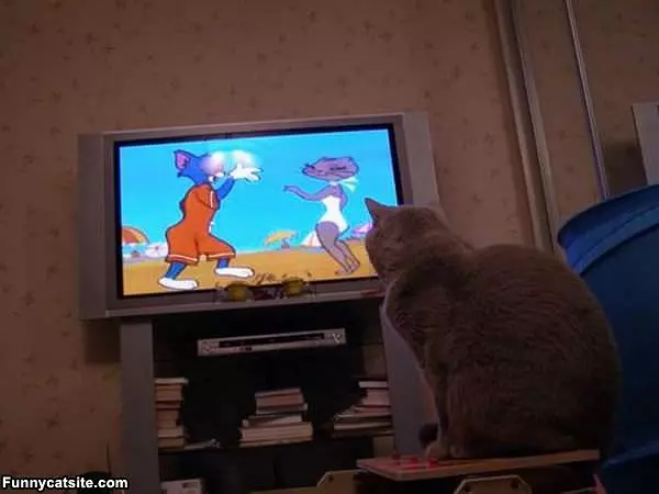 Watching Tom And Jerry