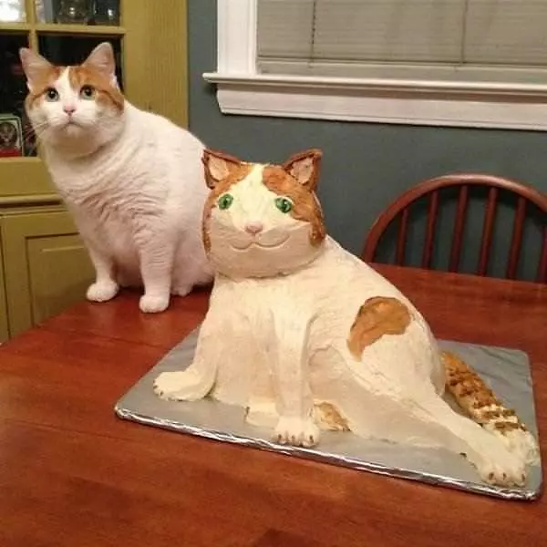 A Cake Of My Cat