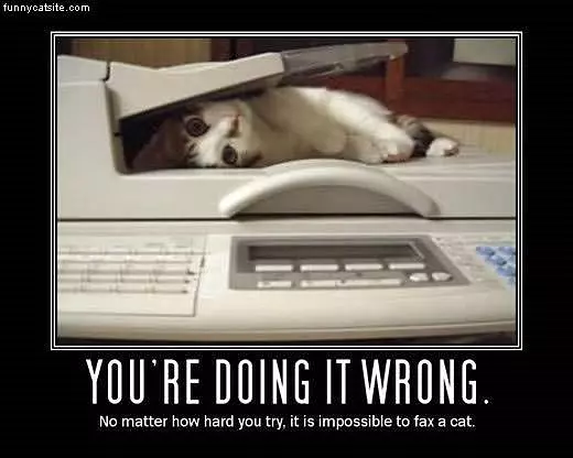 Fax A Cat
