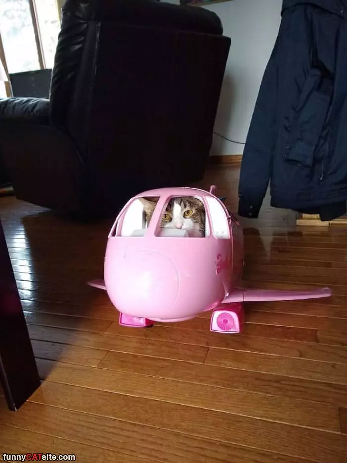 Getting Ready For Take Off