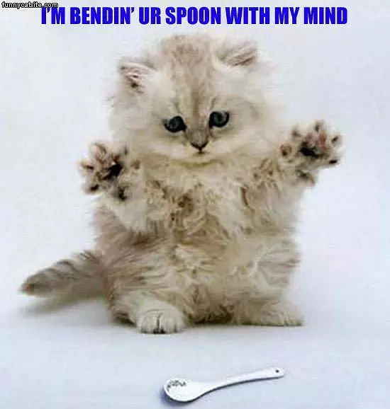 Bending Your Spoon
