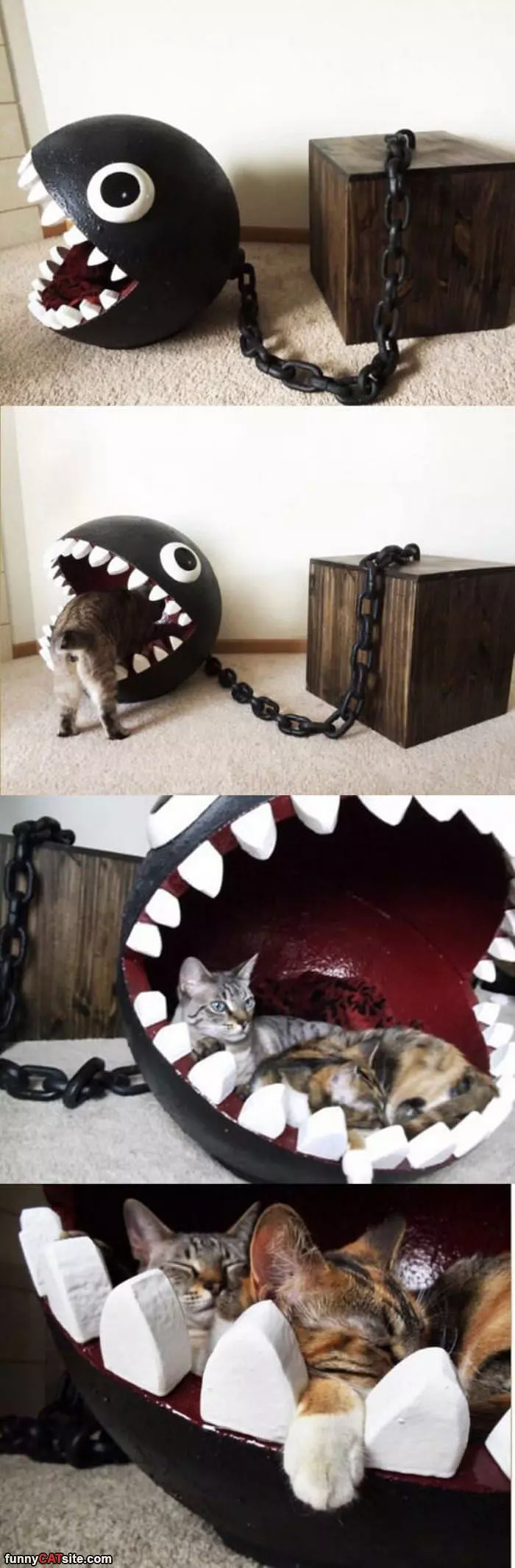 Awesome Cat Bed