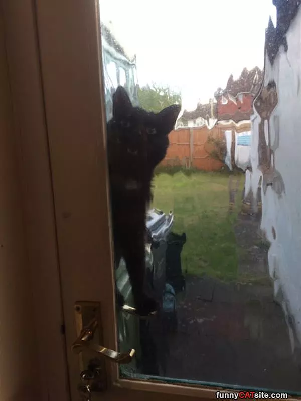 Can I Come In