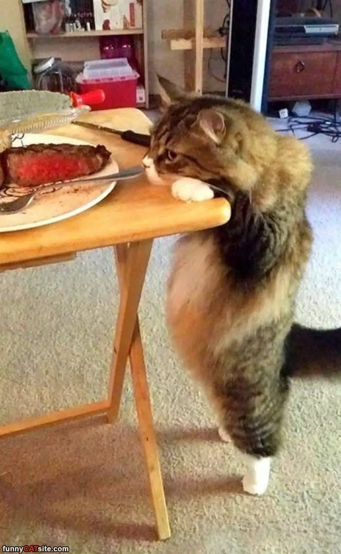 I Want Some Steak