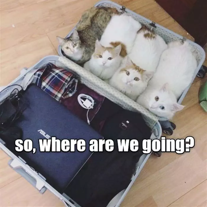So Where Are We Going
