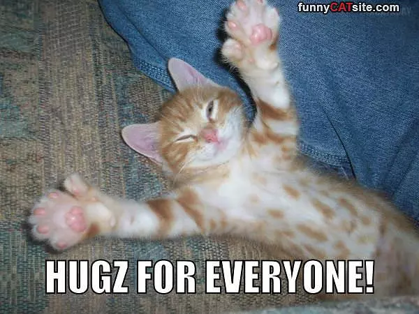 Hugs For Everyone