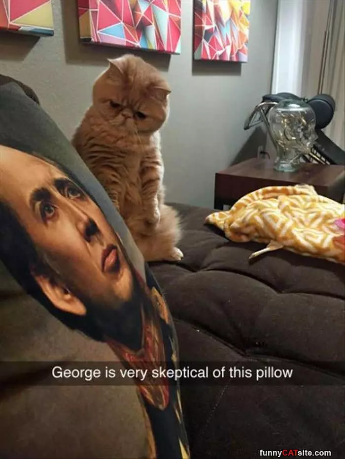 Do Not Like This Pillowq