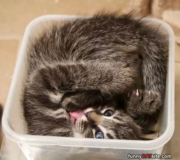 I Fits Nicely