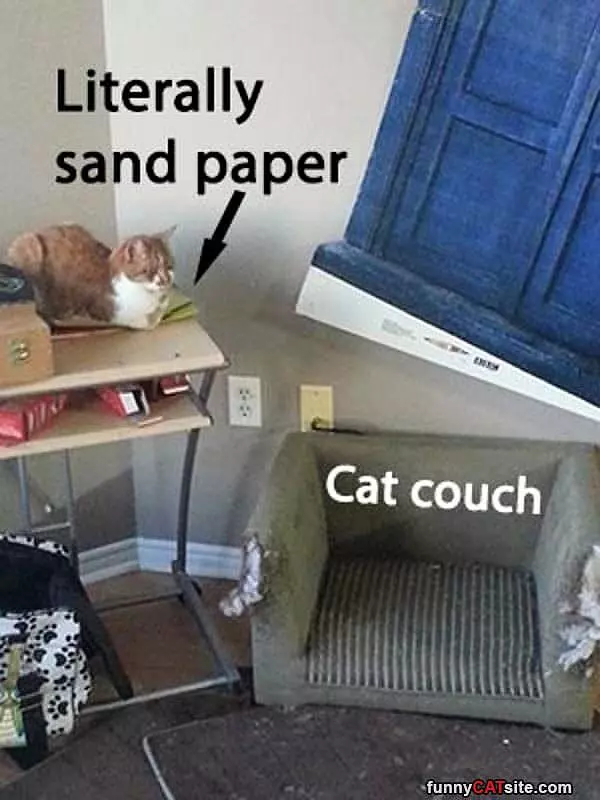 No Cat Couch