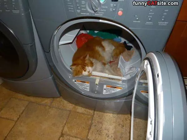 I Love The New Dryer
