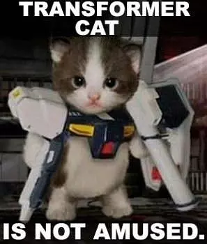 Transformer Cat