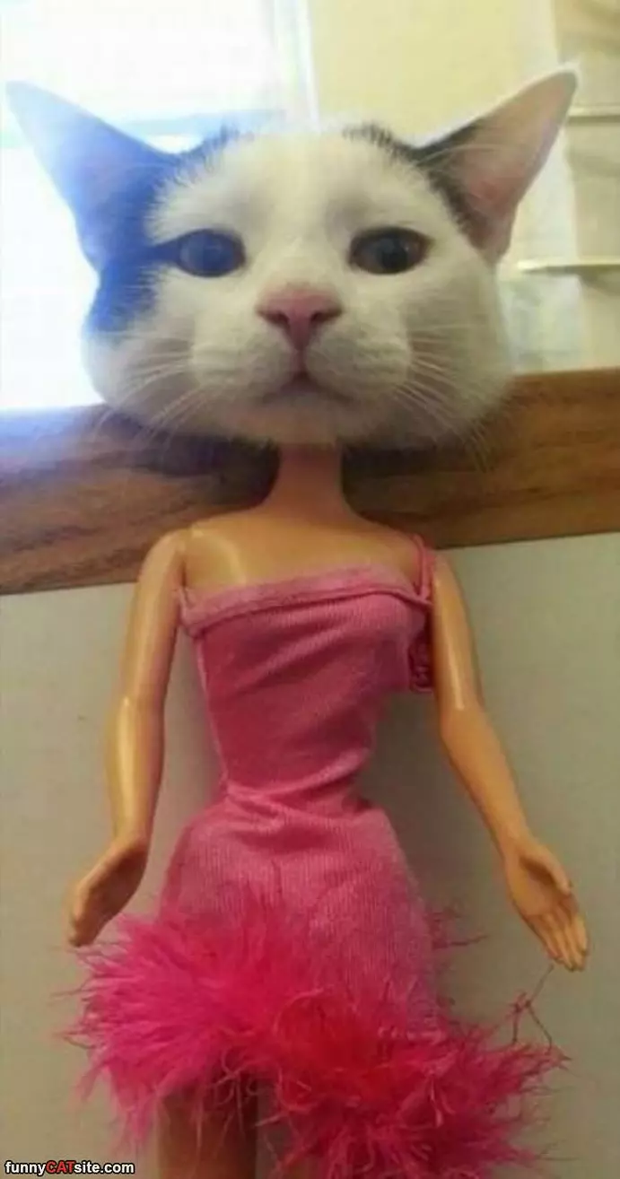 I Am A Barbie