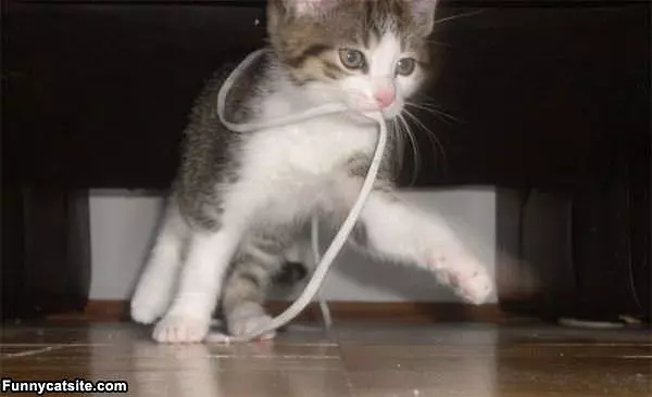 Just Playing With My String