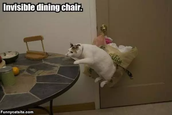 Invisible Dining Chair