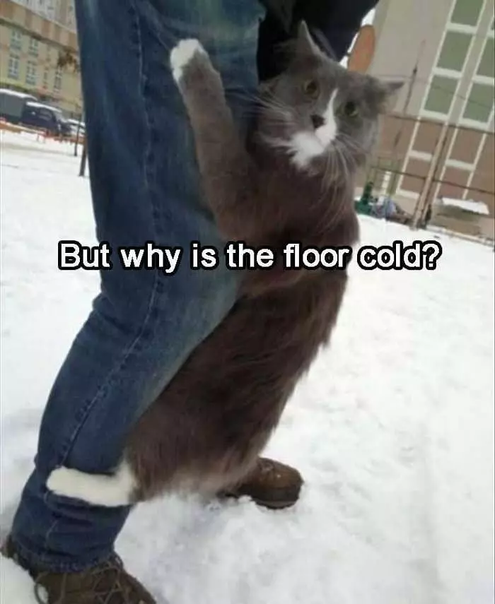 Why Is The Floor Cold