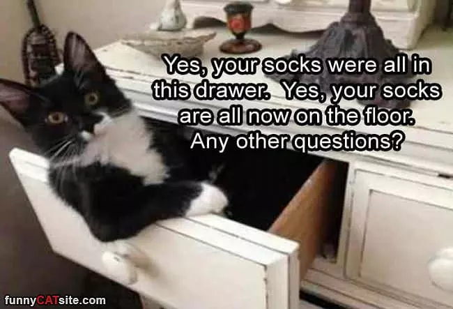About Your Socks