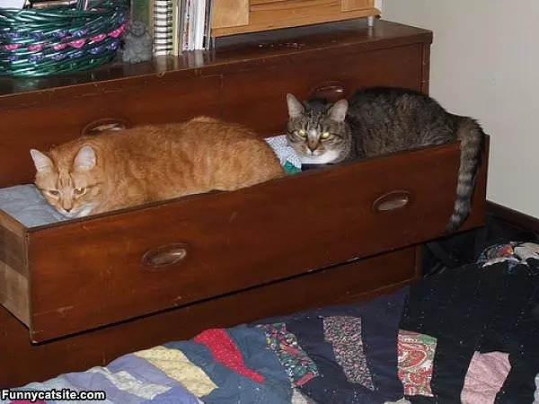 This Drawer Is Awsome